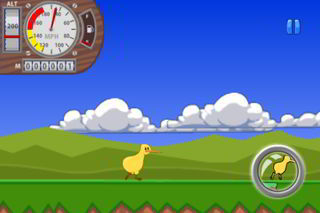 flykiwi02.jpg