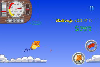 flykiwi06.jpg